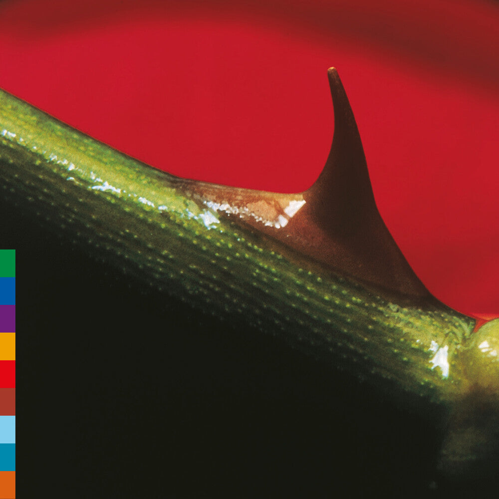 the album cover for Nusrat KhanFateh Ali / Brook,Michael - Night Song - Green [Colored Vinyl] (Grn) (Aniv) [Reissue]