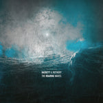 the album cover for Steve Hackett & Steve Rothery - The Roaring Waves