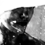 the album cover for Purgate - Leavings