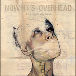 the album cover for Now It's Overhead - Dark Light Daybreak [Ecomix]
