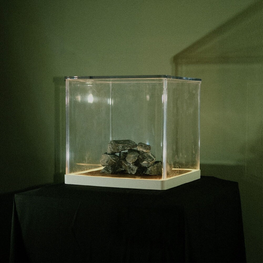 the album cover for Tra Phaidin - Cloch's Clai [Indie Exclusive] [Indie Exclusive]