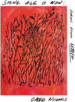 the album cover for Caleb Nichols - Stone Age Is Now: Poems From Lithic