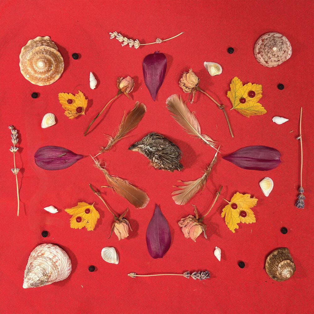 the album cover for Secret Family - Grouse Head Talisman