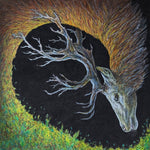 the album cover for Petrels - Infangthief - Clear Black Smoke (Blk) [Clear Vinyl] [Deluxe]