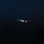 the album cover for Mustard Service - Paradise