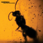 the album cover for Sleepwalk - View From The Outside