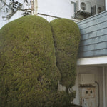 the album cover for Marja Ahti/ Mccowen,John - Errands