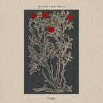the album cover for Hallelujah Trial - Hallelujah Trial