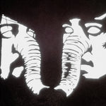 the album cover for Death From Above 1979 - Private Lives