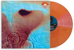the album cover for Pink Floyd - Meddle - [D2C / Indie Exclusive San Tropez Orange Marble]