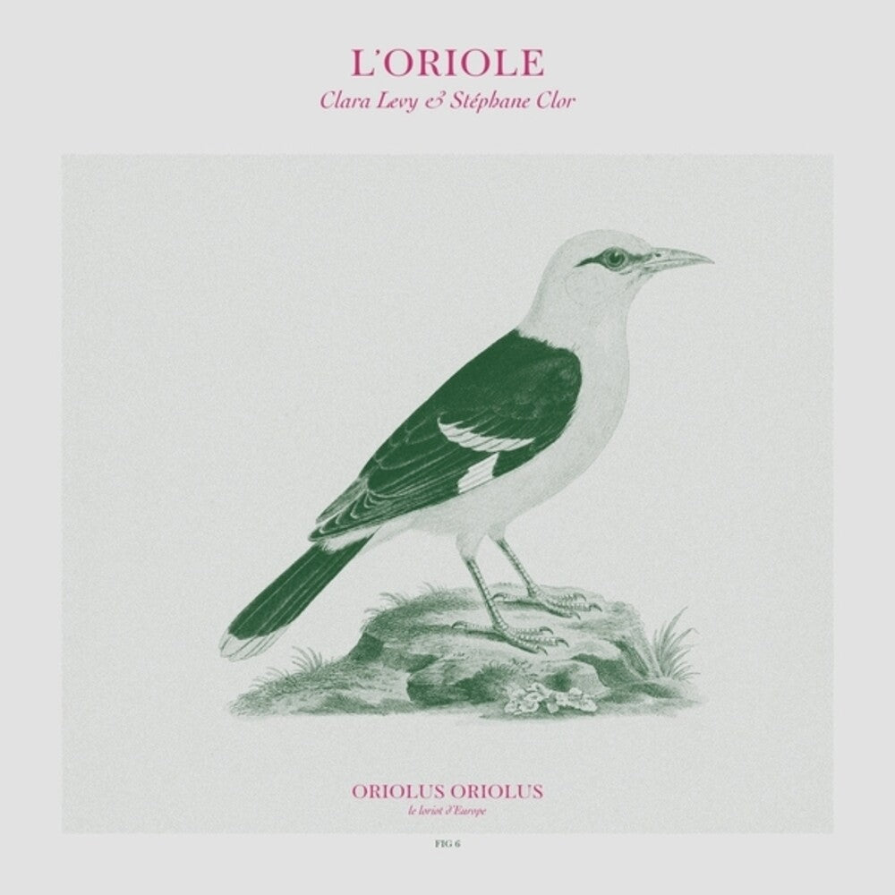 the album cover for Clara Levy/ Clor,Stephane - L'oriole