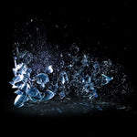 the album cover for Dillinger Escape Plan - Dissociation - 10th Anniversary (Deluxe Edition)