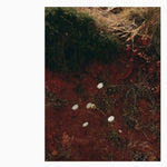 the album cover for Andrew Tuttle/ Darren Cross - At/Dc