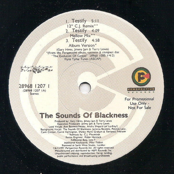 The Sounds Of Blackness* : Testify (12", Promo)