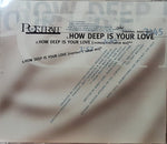 Portrait : How Deep Is Your Love (CD, Single, Promo)