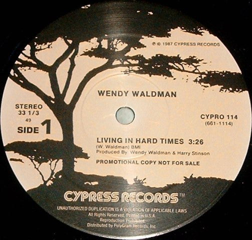 Wendy Waldman : Living In Hard Times (12", Promo)