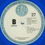 Various : Remixes For The Masters 27 (12", Promo, Blu)