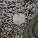 Scott White : I Don't Understand It (12", Promo)