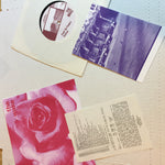 The Wake : Crush The Flowers (7", Single)