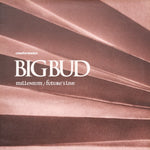 Big Bud : Millenium / Future's Live (12")