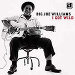 the album cover for Big Joe Williams - I Got Wild