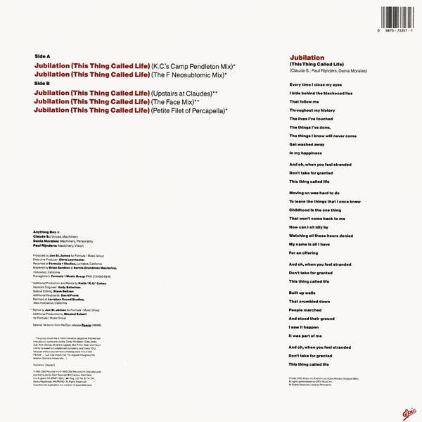 Anything Box : Jubilation (This Thing Called Life) (12", Maxi)