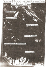 Various : Angelfood Electronics • Volume Two (12", Comp)