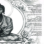 Closedown : Nearfield (CD, Album)