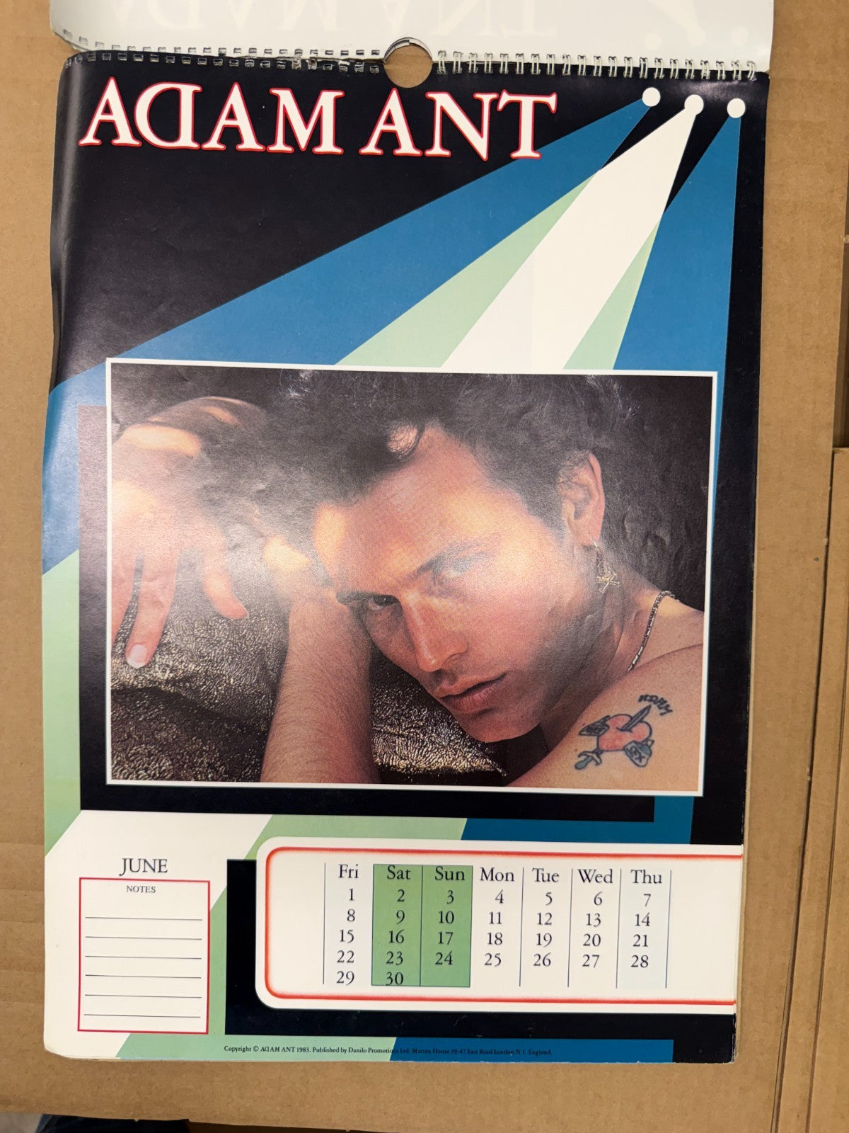 Image #5