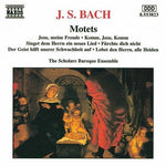 the album cover for The Scholars Baroque Orchestra - Motets