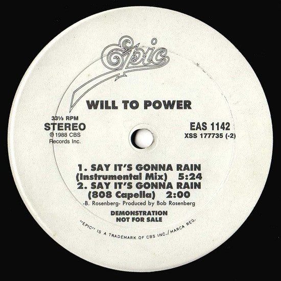 Will To Power : Say It's Gonna Rain (12", Promo)