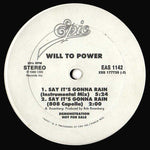 Will To Power : Say It's Gonna Rain (12", Promo)