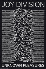 Joy Division - Unknown Pleasures Poster - 24" X 36"