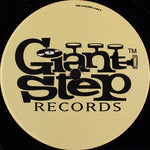 Fear Of Pop : In Love (12", Ltd, Promo)