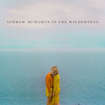 Andrew McMahon In The Wilderness : Andrew McMahon In The Wilderness (LP, Album, Ltd, Tra)