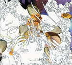 the album cover for Dykehouse - Midrange