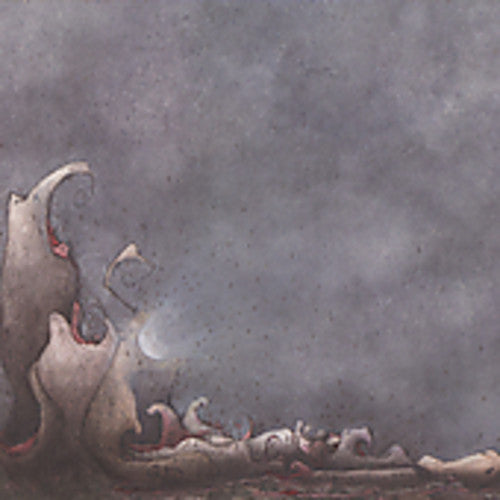 the album cover for Eluvium - An Accidental Memory In The Case Of Death