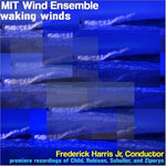 the album cover for Mit Wind Ens - Waking Wings