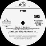 PMD : I Saw It Cummin' (12", Promo)