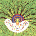 the album cover for Danielson - Brother Is to Son