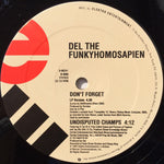 Del The Funky Homosapien* : Wrongplace (12")