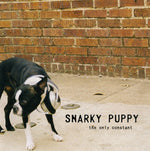 Snarky Puppy : The Only Constant (CD, Album, RE)