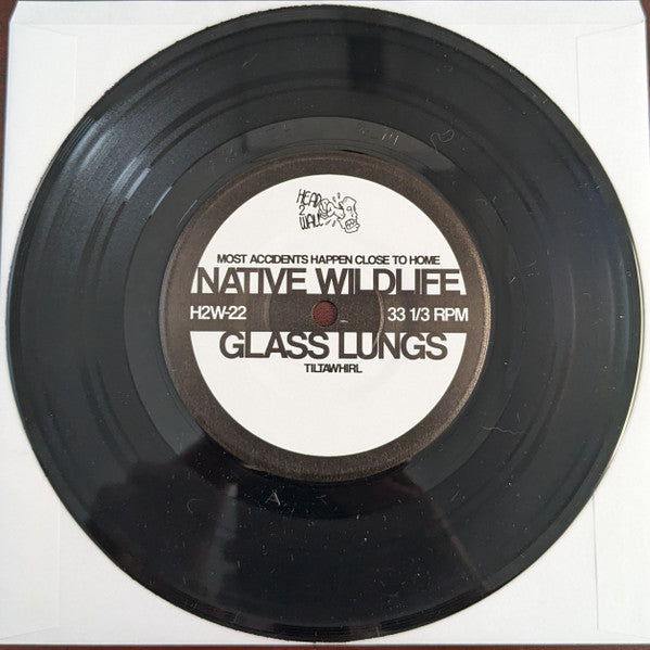 Native Wildlife / Killing Thing / Glass Lungs / Aviator (3) : Split (7", Comp)