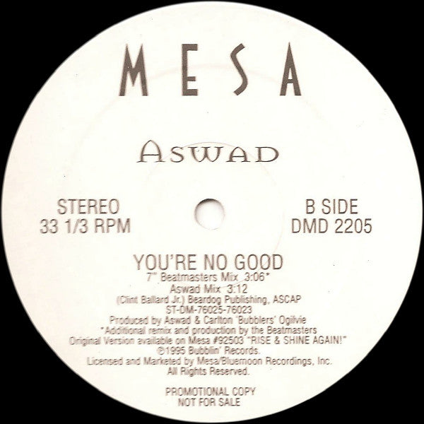 Aswad : You're No Good (12", Promo)