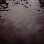 the album cover for Tarentel - We Move Through Weather