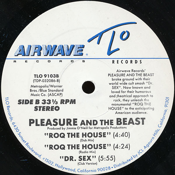 Pleasure And The Beast : Roq The House (12", Single)