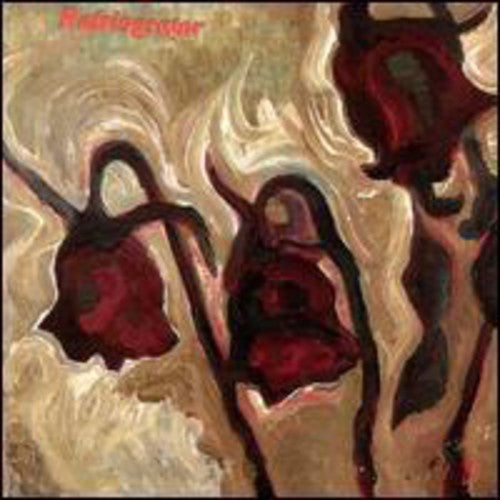 the album cover for Refrigerator - Refrigerator