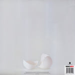 Wilco : A Ghost Is Born (2xLP, Album, RE, Gat)