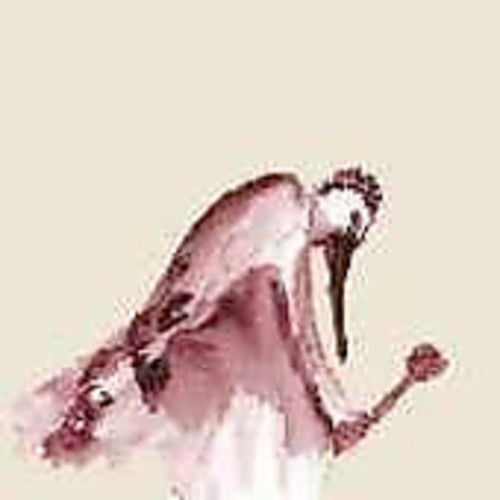 the album cover for From Quagmire - Habitats in the Wound