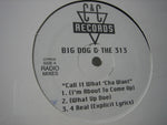 Big Dog* : Call It What'cha Want (12", EP, Maxi)